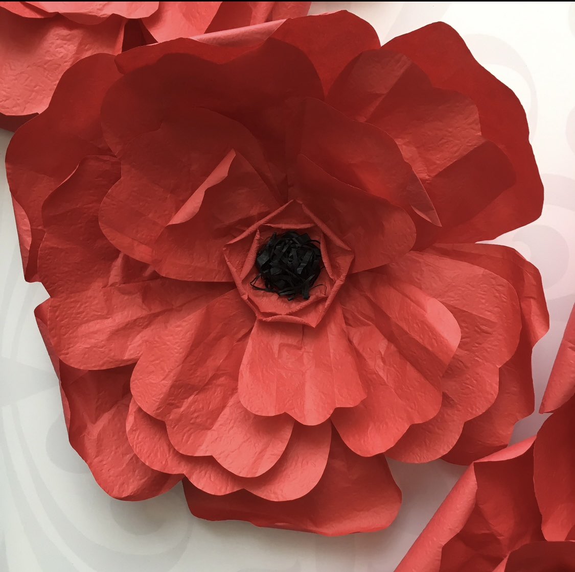 Wilde_One's tweet photo. Lest We Forget. #RemembranceDay #remembranceday2022 #CanadaRemembers https://t.co/2yBbg3H9tg