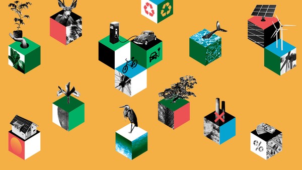 𝗠𝗶𝘀𝘀𝗶𝗼𝗻 𝗘𝗮𝘀𝘁 𝗽𝗮𝗿𝘁𝗶𝗰𝗶𝗽𝗮𝘁𝗲𝘀 𝗶𝗻 #𝗖𝗢𝗣𝟮𝟳 𝘁𝗵𝗿𝗼𝘂𝗴𝗵 𝘁𝘄𝗼 𝗽𝗮𝗿𝘁𝗻𝗲𝗿 𝗼𝗿𝗴𝗮𝗻𝗶𝘀𝗮𝘁𝗶𝗼𝗻𝘀.
Iraqi EADE repairs water systems, Nepalese KIRDARC mitigates floods, and both plant trees in city parks and entire forests.
👉missioneast.org/en/mission-eas…