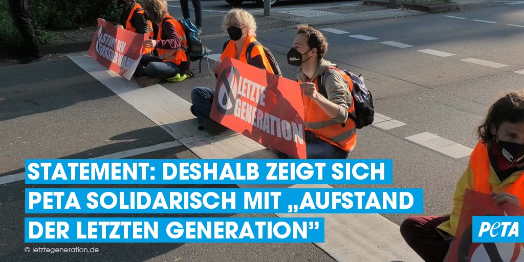 Die Klimagerechtigkeitsbewegung „Aufstand der letzten Generation“ sieht sich zurzeit mehr denn je medialer, politischer und öffentlicher Kritik ausgesetzt. Weshalb wir von PETA dennoch solidarisch mit ihr sind, erfahrt ihr hier: PETA.de/presse/peta-so…