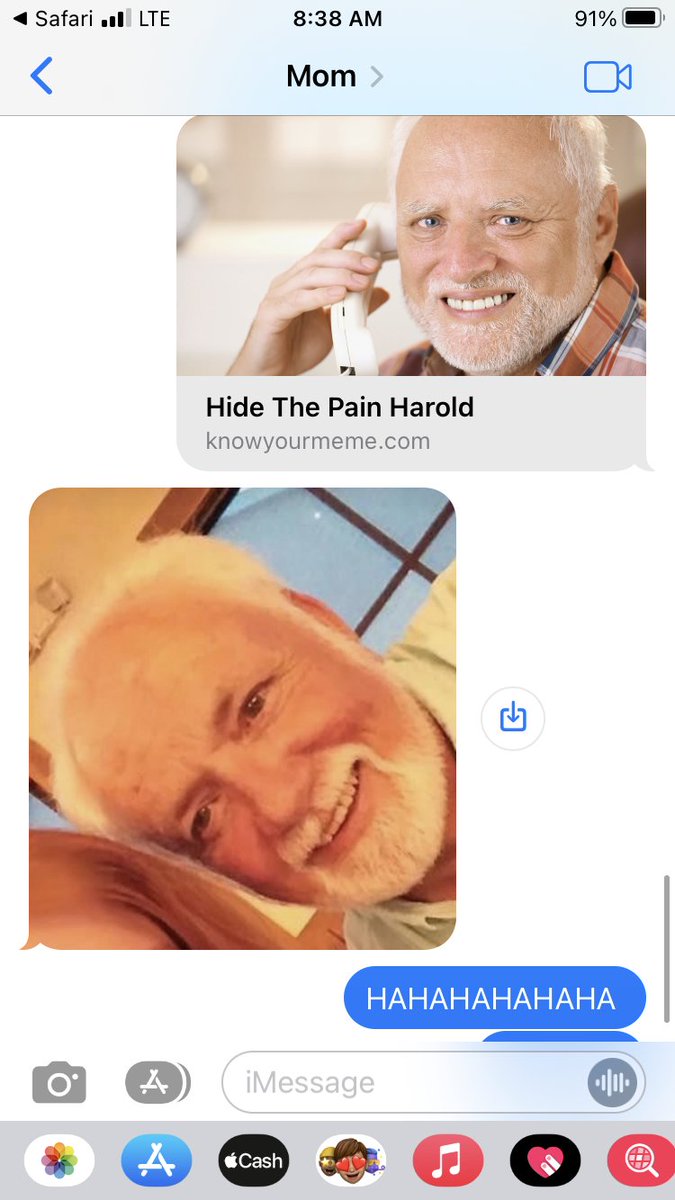 vegetarian librarian tweet media