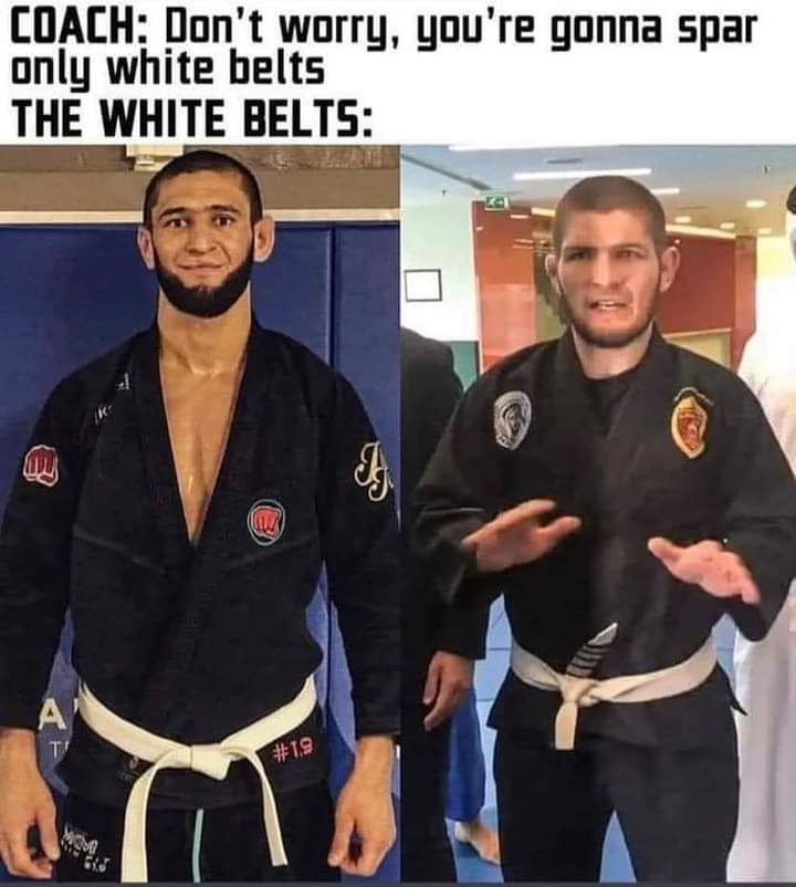 Dovy🔌 tweet media