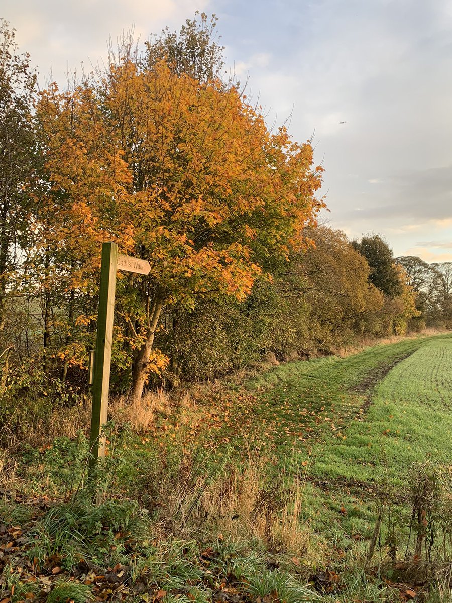 christine gow tweet media