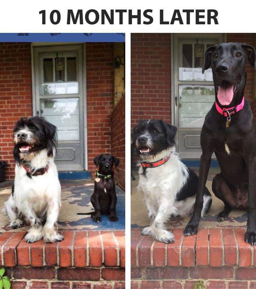 10 months later 😅😁