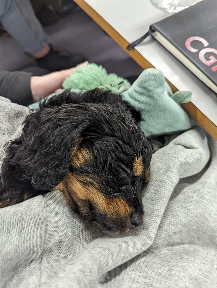 BEXPENGUIN's tweet photo. When you get to hold the baby at a PTA meeting 😍😍 https://t.co/OQD2D5AMwM