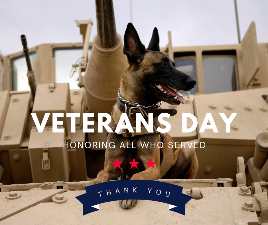 Tweet by Oregon Veterinary Medical Association