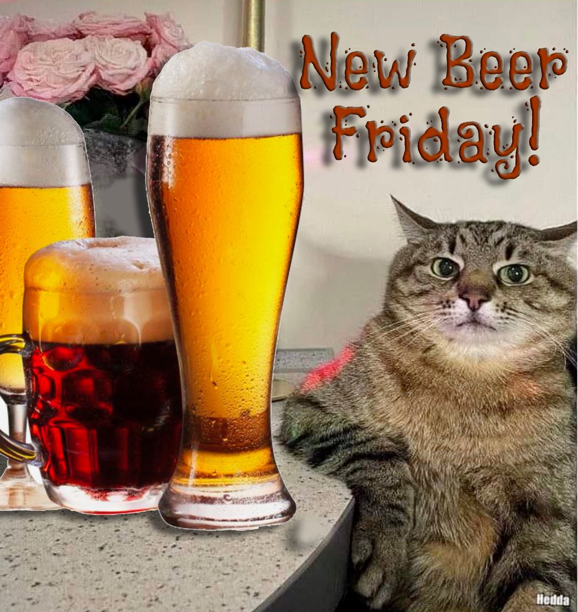 Mikey 🍺 tweet media