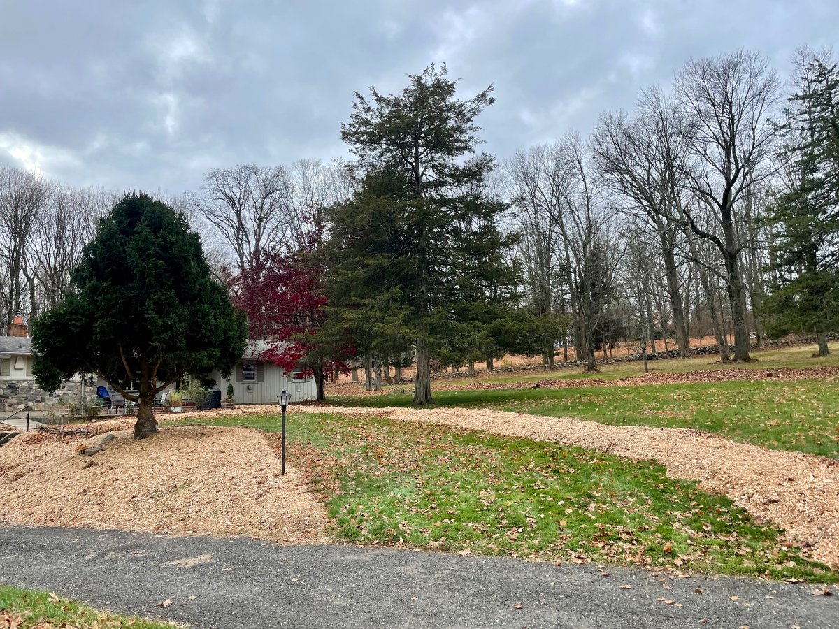 Step one, kill the lawn.