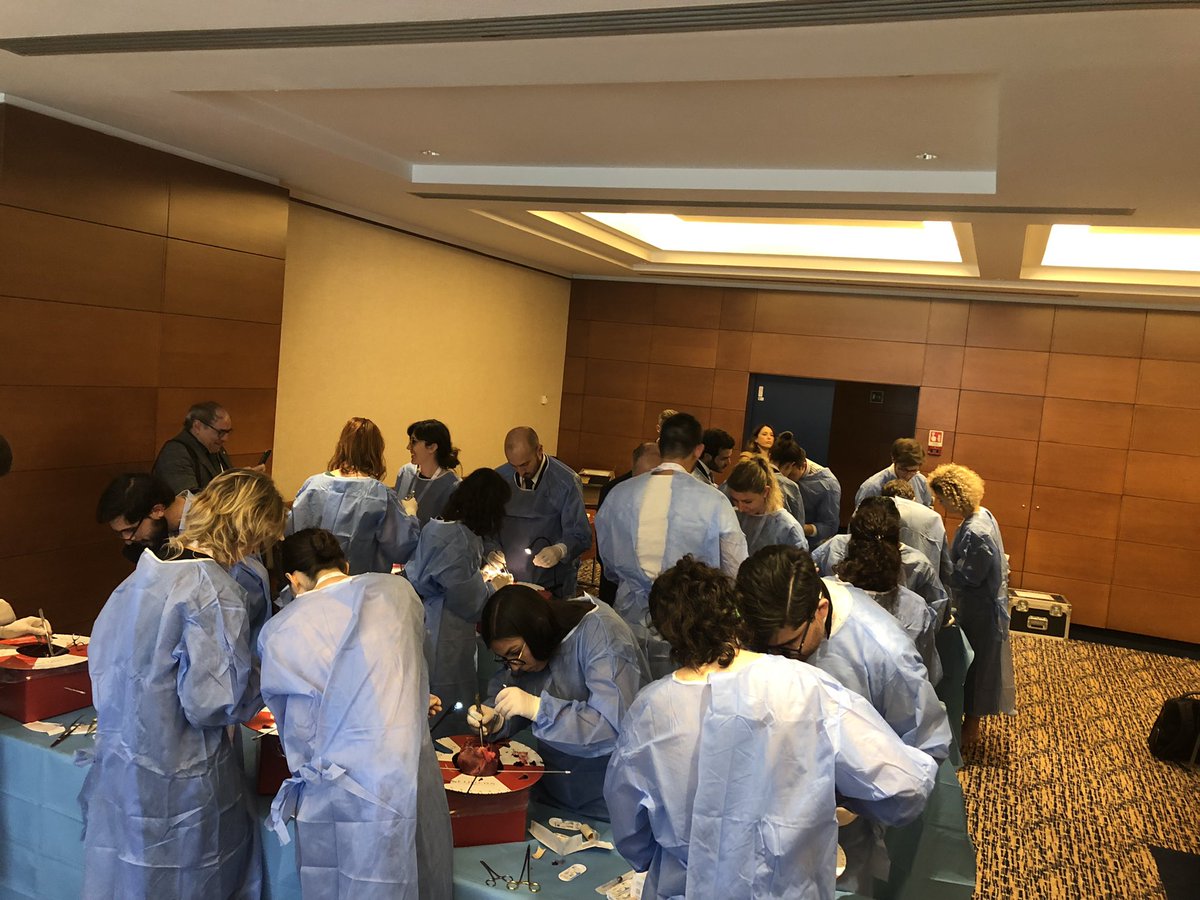 MauroLoRito's tweet photo. Congenital wet lab at the #sicch was full! Great teaching session on aortic root enlargement. Resident training should be a duty for every surgeon! https://t.co/ExnEqUO9n2