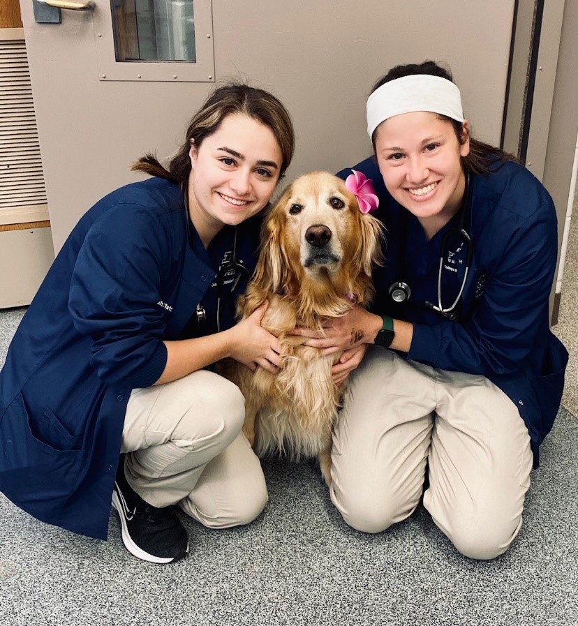 Tweet by Purdue Veterinary Medicine