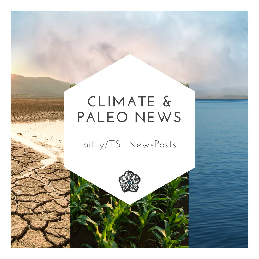 TimeScavengers's tweet photo. Our Climate & Paleo News blog features papers and studies summarized by students as class projects, and by our #VIPSciComm interns! If you are interested in having your students' summarize studies for the general public, reach out to our team for more info! https://t.co/cBVp8tFca2