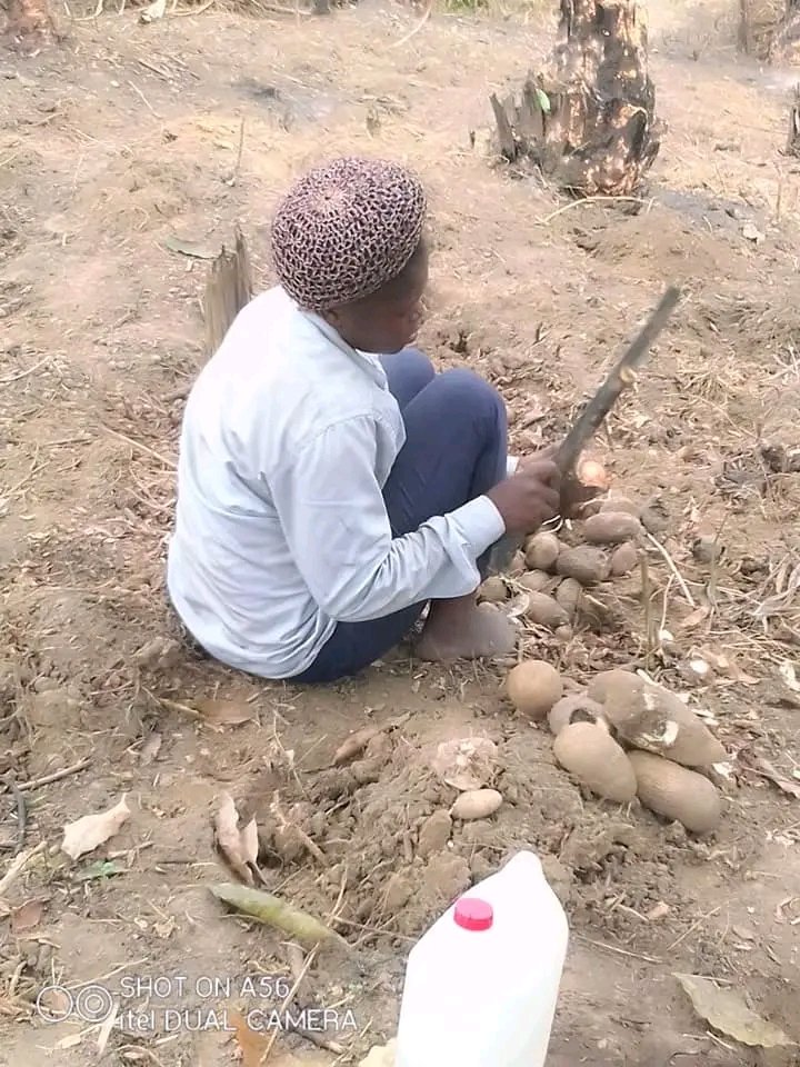 owhylda's tweet image. Climate change = disruption of climatique conditions = poor production = hunger... 
 @PR_Paul_BIYA

#solidarty #equalrightsequalfights #savetheplanet
#ACTNOW #SDGs #futureoffood 
#connectAid #ClimateActionNow
#Peace #ClimateJustice
#FridaysForFuture
#cop27Egypt2022