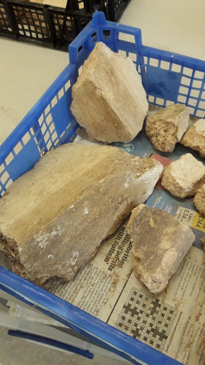 NanceSw's tweet photo. A day of being plastered ๐ round corners and a little bit of mosaic ๐ @NatTrustArch @NTChedworth #Romanplaster https://t.co/9dgMsASt8X