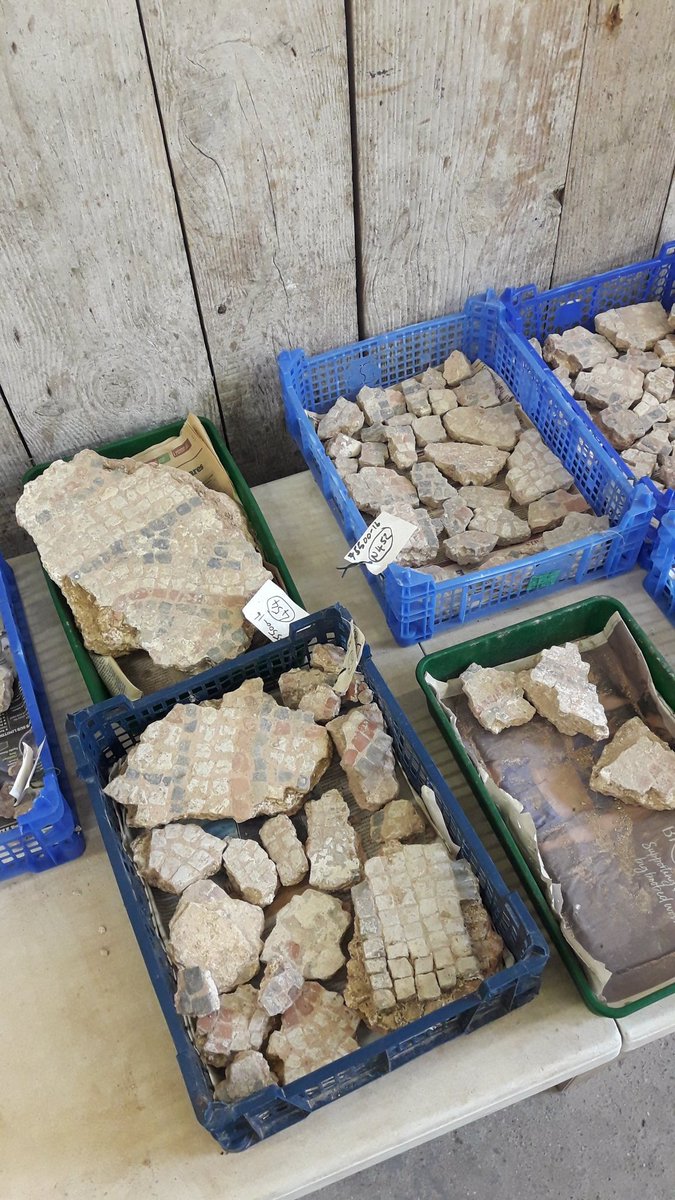 NanceSw's tweet photo. A day of being plastered ๐ round corners and a little bit of mosaic ๐ @NatTrustArch @NTChedworth #Romanplaster https://t.co/9dgMsASt8X