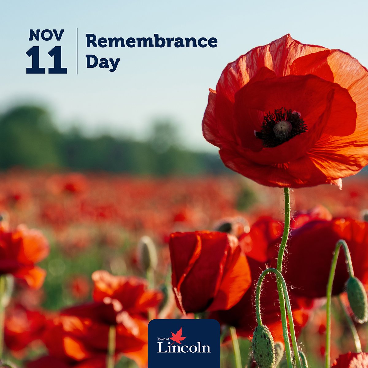May we pause in a silent moment of remembrance for the men and women who served and continue to serve our country in war, conflict and peace. May we remember those who lost their lives, those whose lives were forever changed, and the loved ones surrounding them, lest we forget.