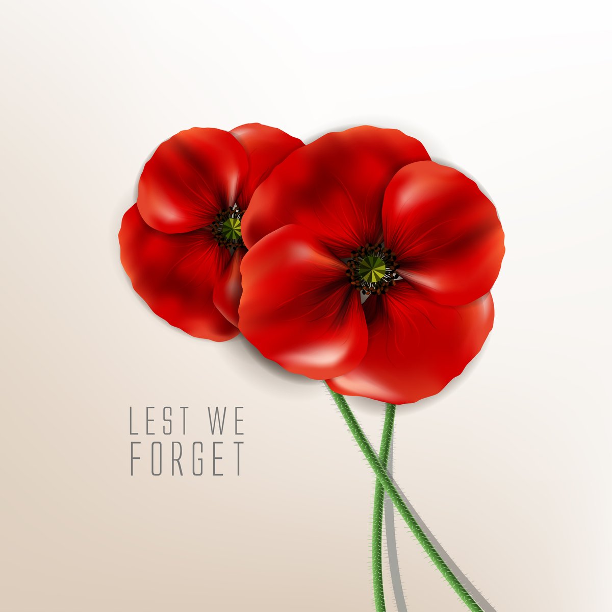RowleysWhole's tweet photo. Happy Veteran's Day to all who have served. https://t.co/6Ukslfr13B