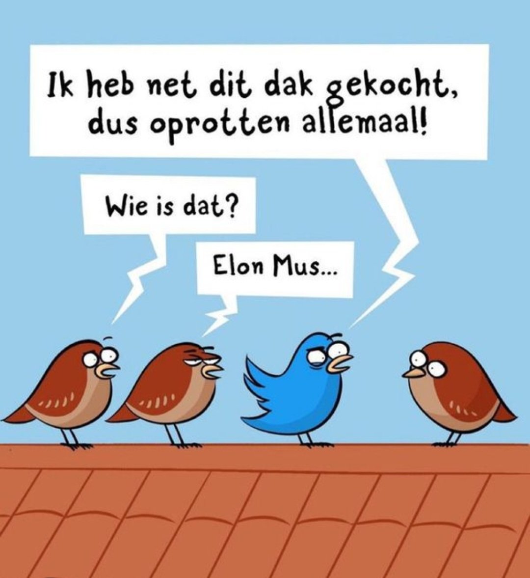 Willem_Backer (@willem199711) on Twitter photo 