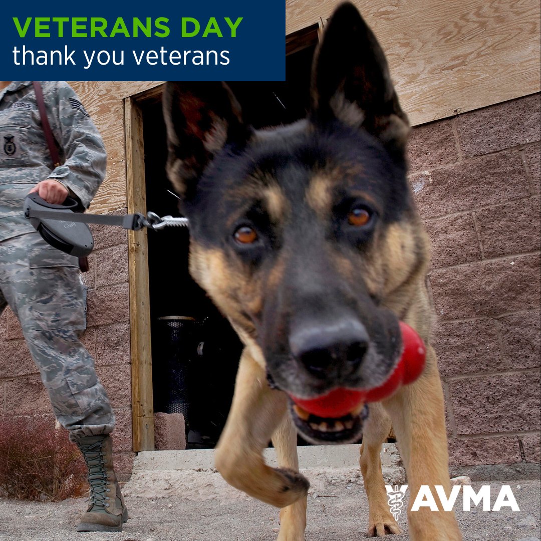 Tweet by AVMA (American Veterinary Medical Association)