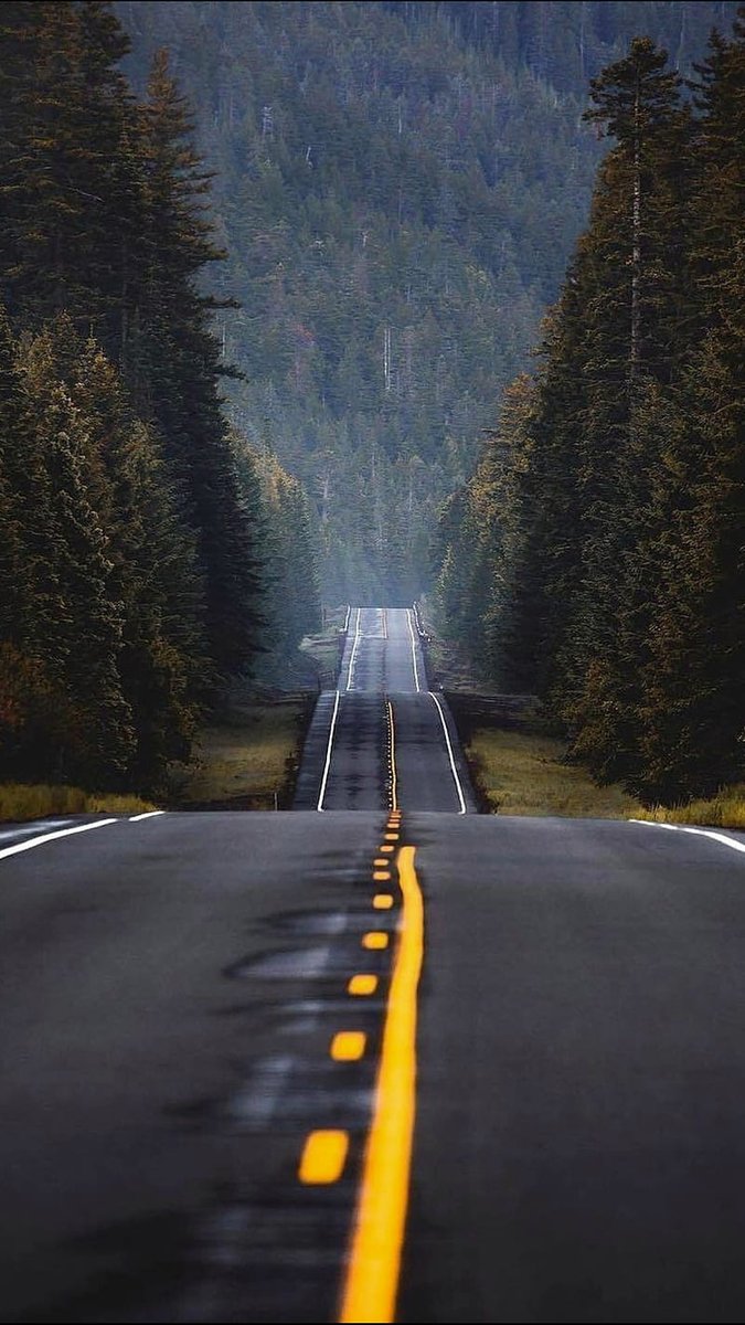 Long Road