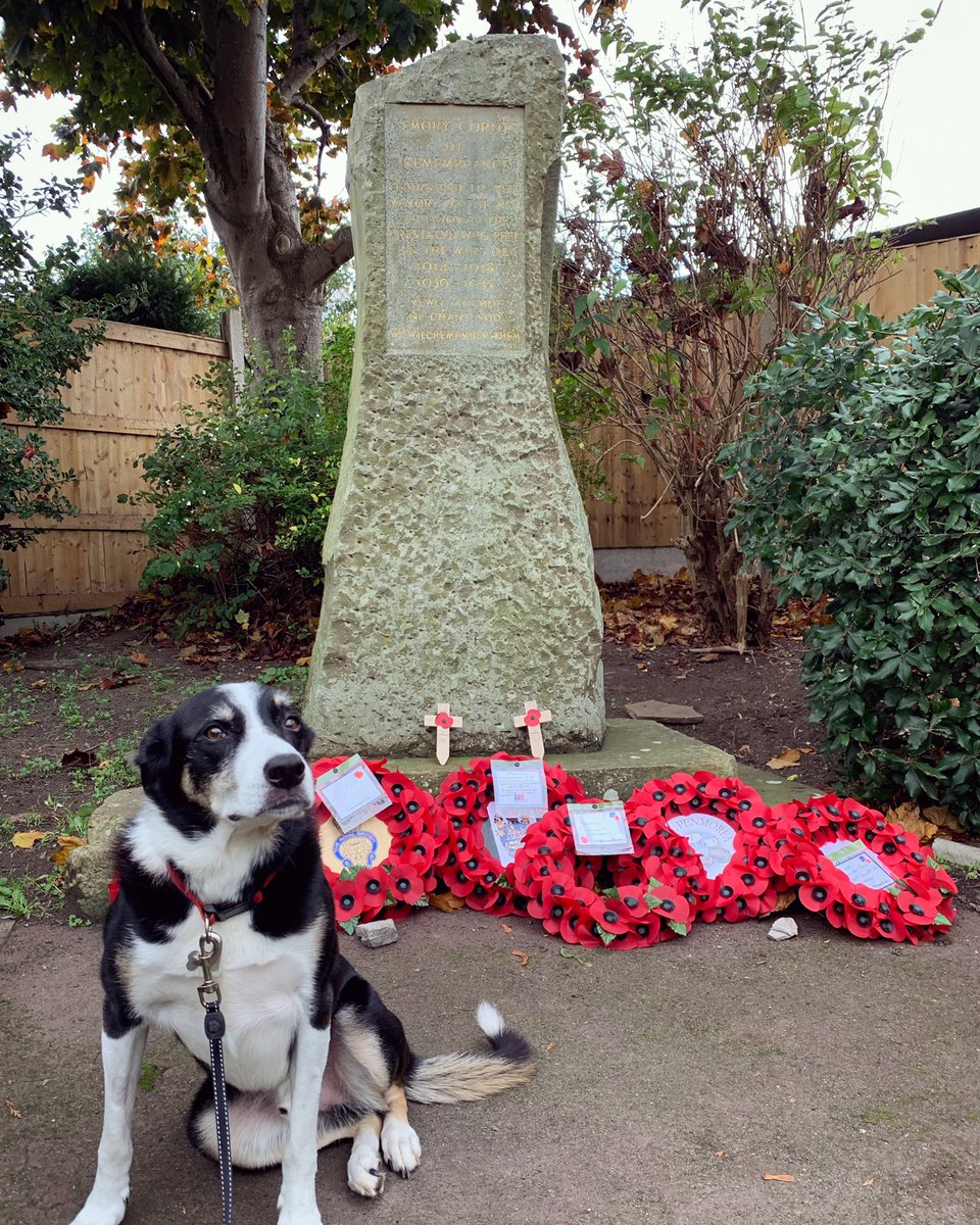 DianaFW's tweet photo. Evan and I went to pay our respects at the old cenotaph in Prestatyn’s Parc Pendre Memorial Gardens this morning. We had a 2 minutes silence to remember those who gave their today for our tomorrow. #LestWeForget  #RemembranceDay https://t.co/Ai0fCuJkfm