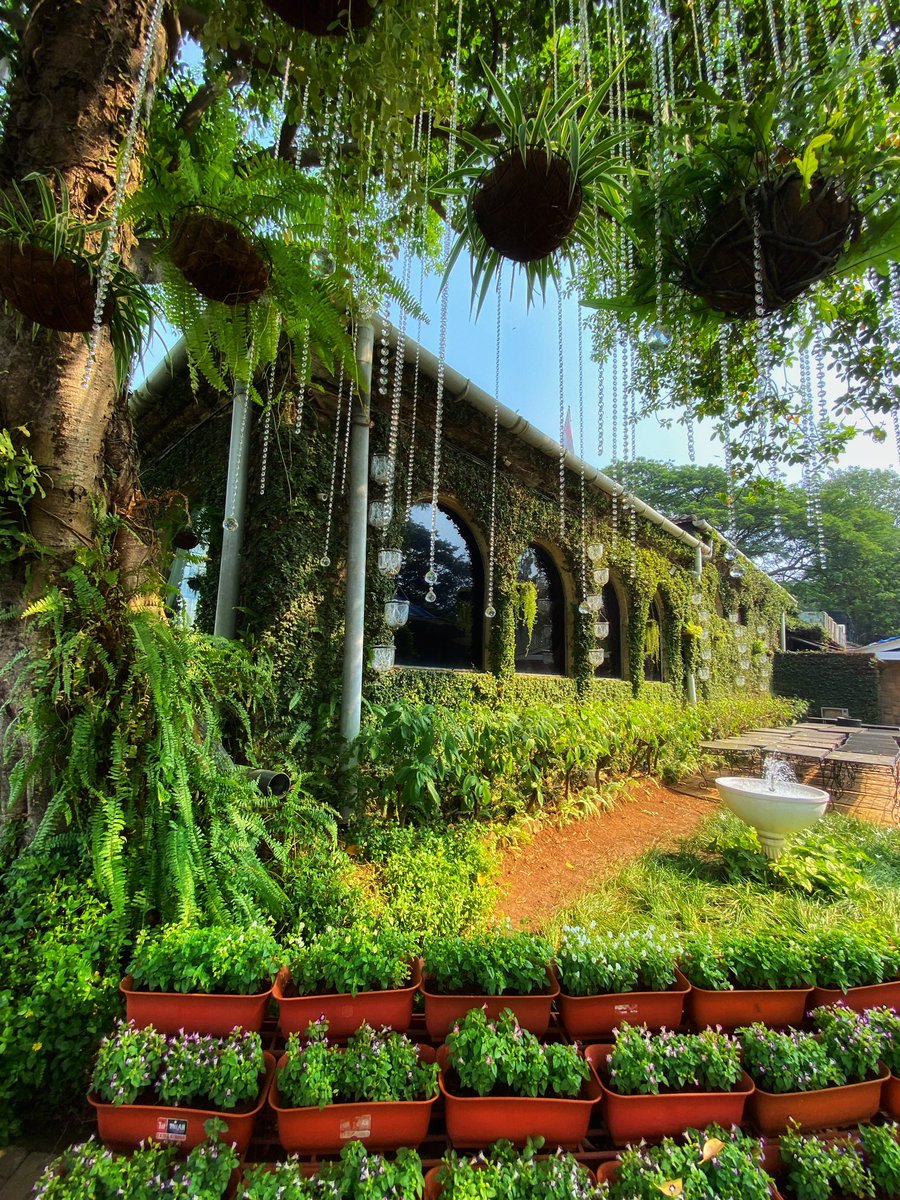 effwrites's tweet image. Glad I could make time for this beautiful restaurant. A serene afternoon at the oasis in the middle of the urban sprawl within Mahalaxmi Race Course. 

Gallops Restaurant
maps.app.goo.gl/CU2afePfi2YuJG…