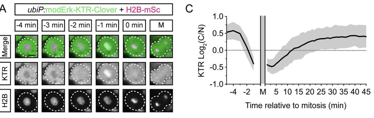 Hill Lab tweet media