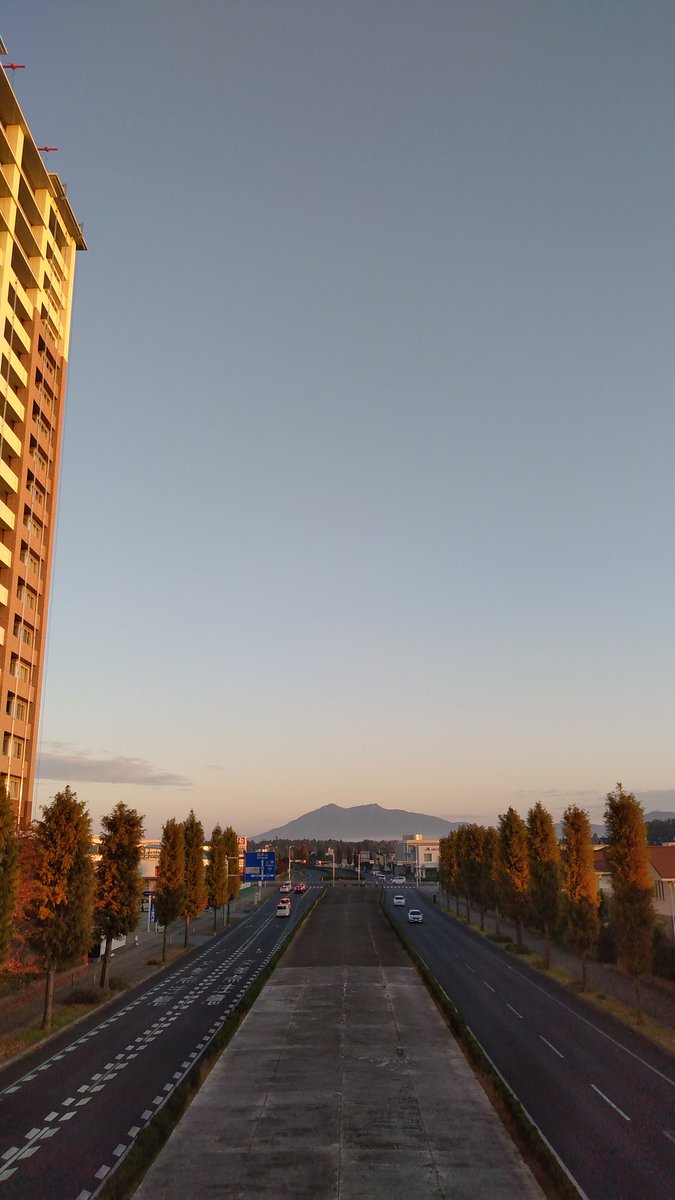 tougesou tweet picture