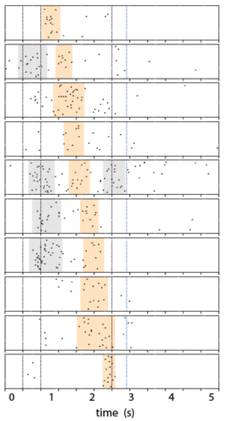 TheBrunoCortex's tweet photo. Come see our work on Time Coding and Temporal Surprise in sensory cortex #SfN22, Saturday 1-5PM, poster board J4 -- surprising results from Rikki Rabinovich and Dan Kato! https://t.co/QiNjNSZLLt
