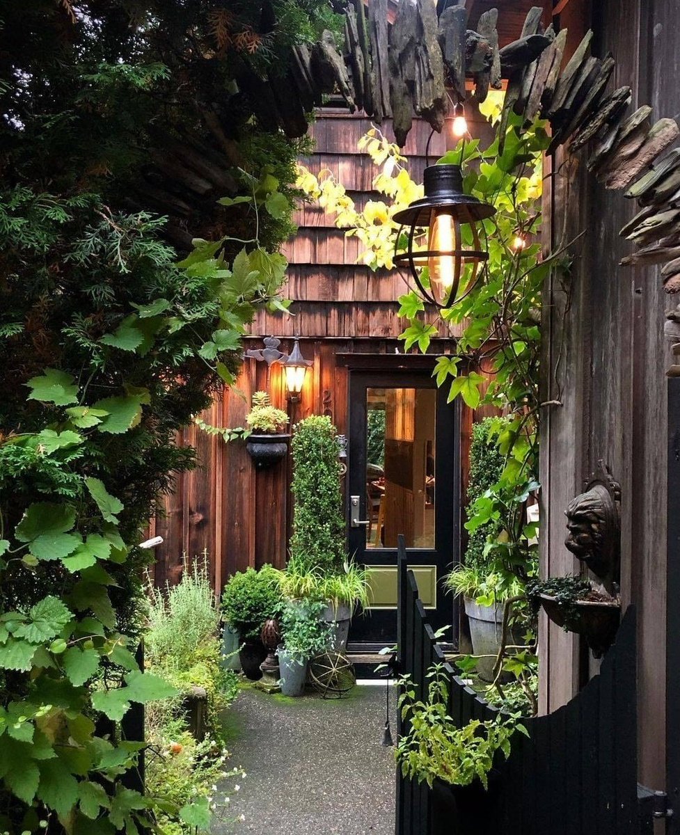 HobbyistPlant's tweet photo. A hidden entryway surrounded by plants 🌿 https://t.co/8fNBcMFRPh