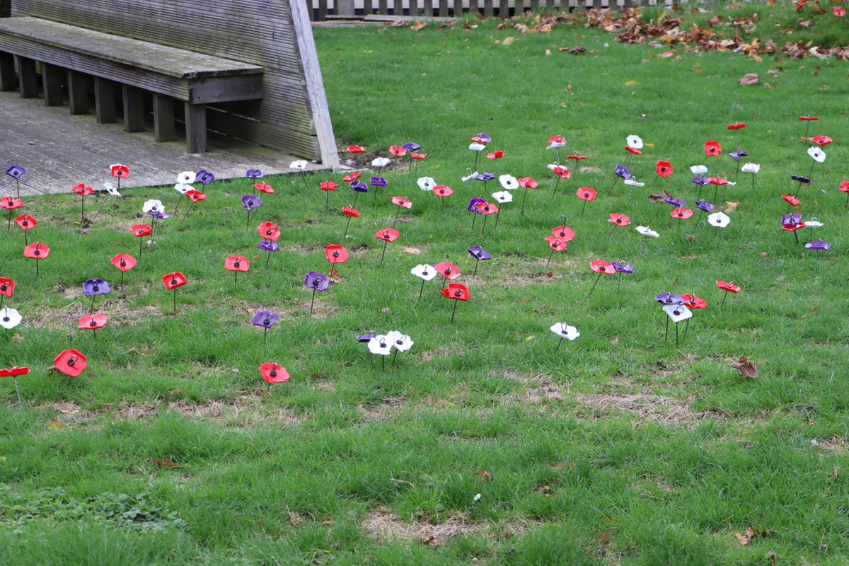 LyndonSchool's tweet photo. Today, our learners marked the 11am silence and planted poppies in our Remembrance Garden. Remembrance provides learners with an opportunity to consider those who spent their life in service, furthering tolerance and mutual respect. https://t.co/LFhI0d9TfE