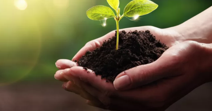 SCM_Ronald's tweet photo. IBM has planted 19050 trees during 4Q and will plant 100 more for every selected IBM FlashSystem array sold by business partners in 4Q.
https://t.co/vfuIwTc1Qe
#IBMFlash4Good #ThinkSustainability #IBM https://t.co/2Y6l20eHbo