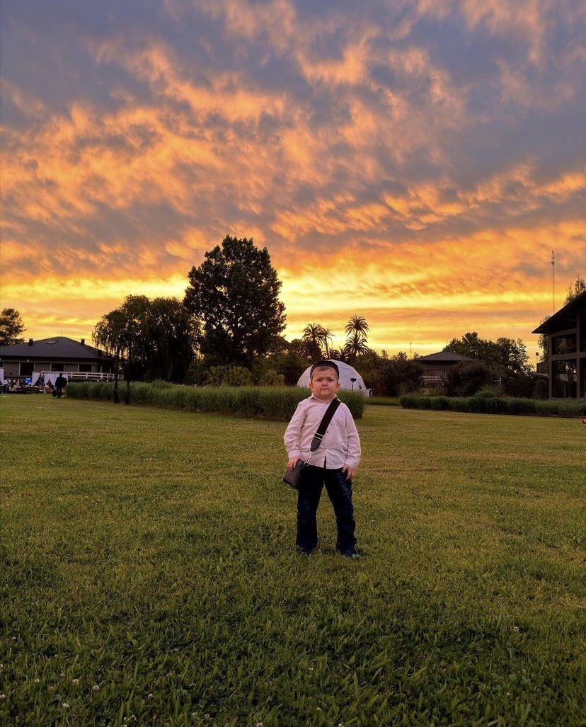 A masterpiece trying to master peace