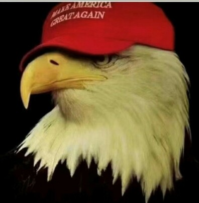 刚刚，川普总统说了，赢了众议院。
叶!  😁❤️❤️

❤️🇺🇲💯🍊❤️  ❤️☀️🌛🍊❤️

川普总统： 我们赢了！ 佩洛西走了，我们拿下了众议院。如果我们能阻止他们非常明显的作弊，我们也会拿下参议院。 大大的胜利，别犯傻。 

站在屋顶上，大声喊出来！