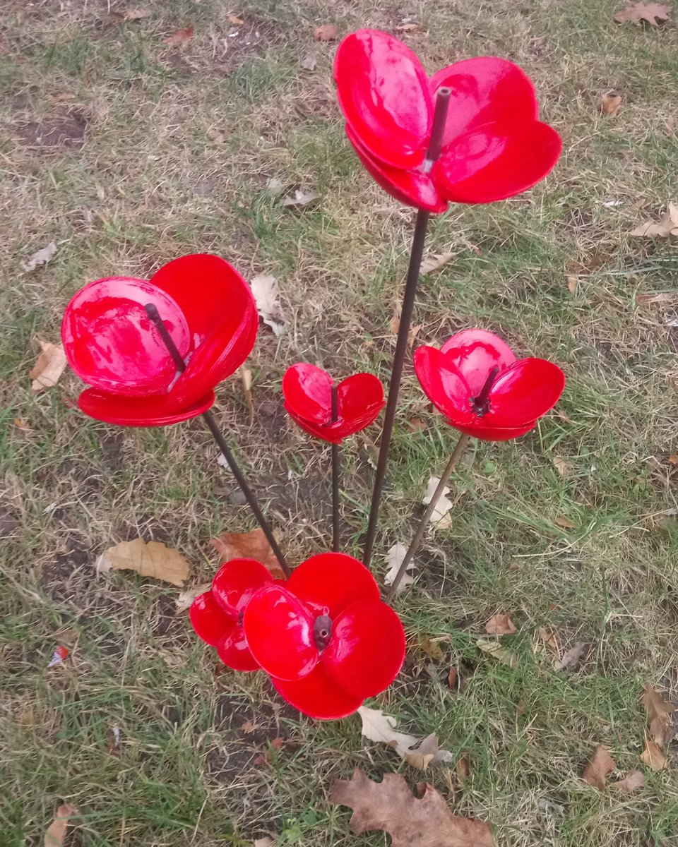 Environment GCA tweet media