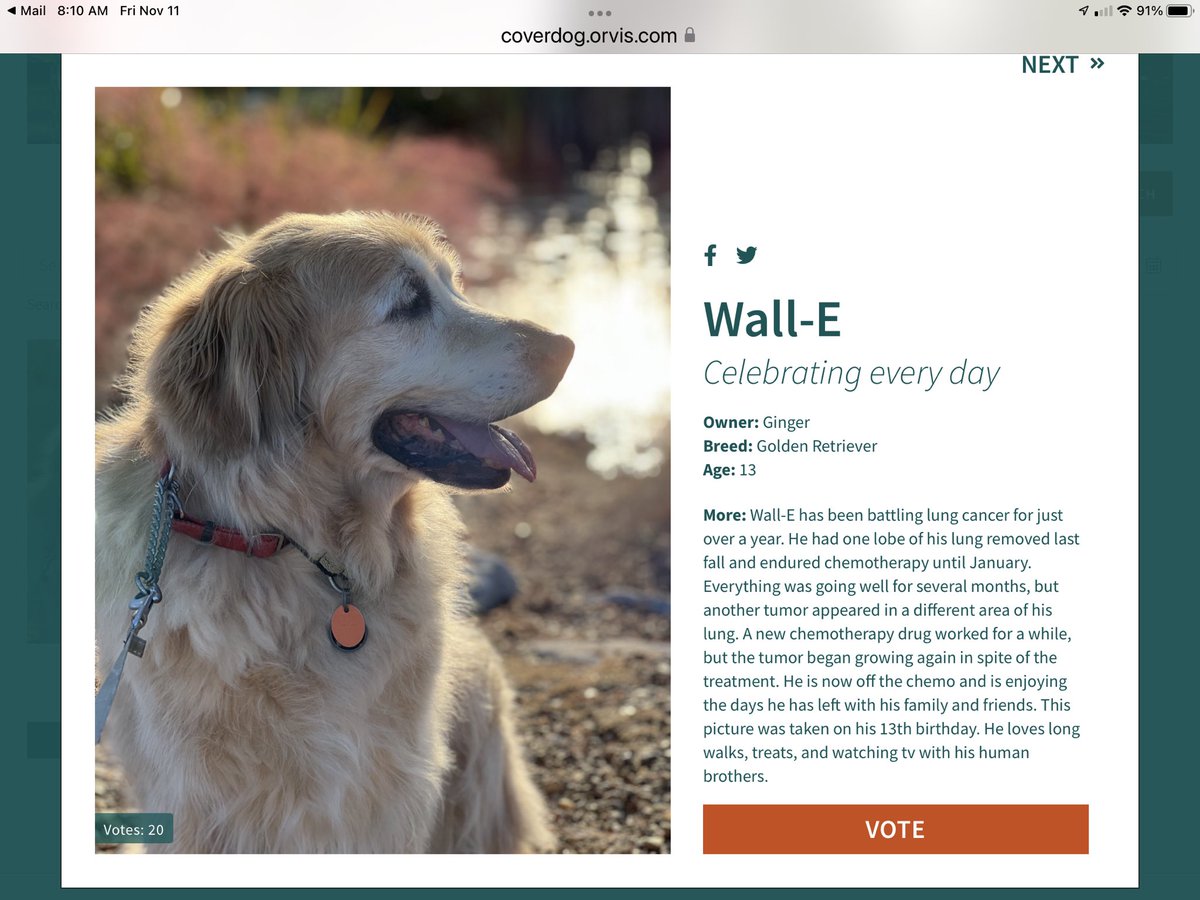 Ginger Thomas tweet media