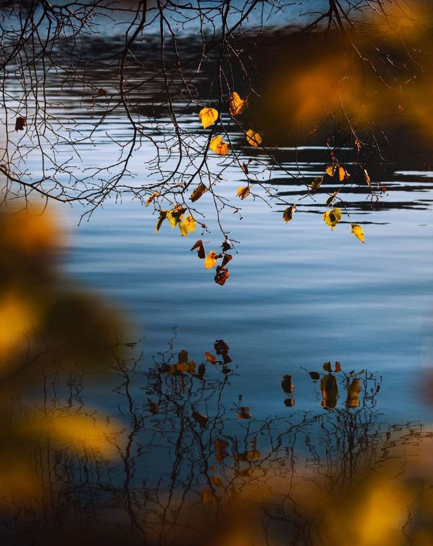 madrugada_m's tweet photo. Ich bitte dich: Was auch immer geschieht, 
hilf mir, daran zu glauben, daß irgendwo
alles blau wird. 

Ilse Aichinger
aus: Verschenkter Rat
1.11. 1921 - 11.11. 2016 https://t.co/8G99O2Mp0c
