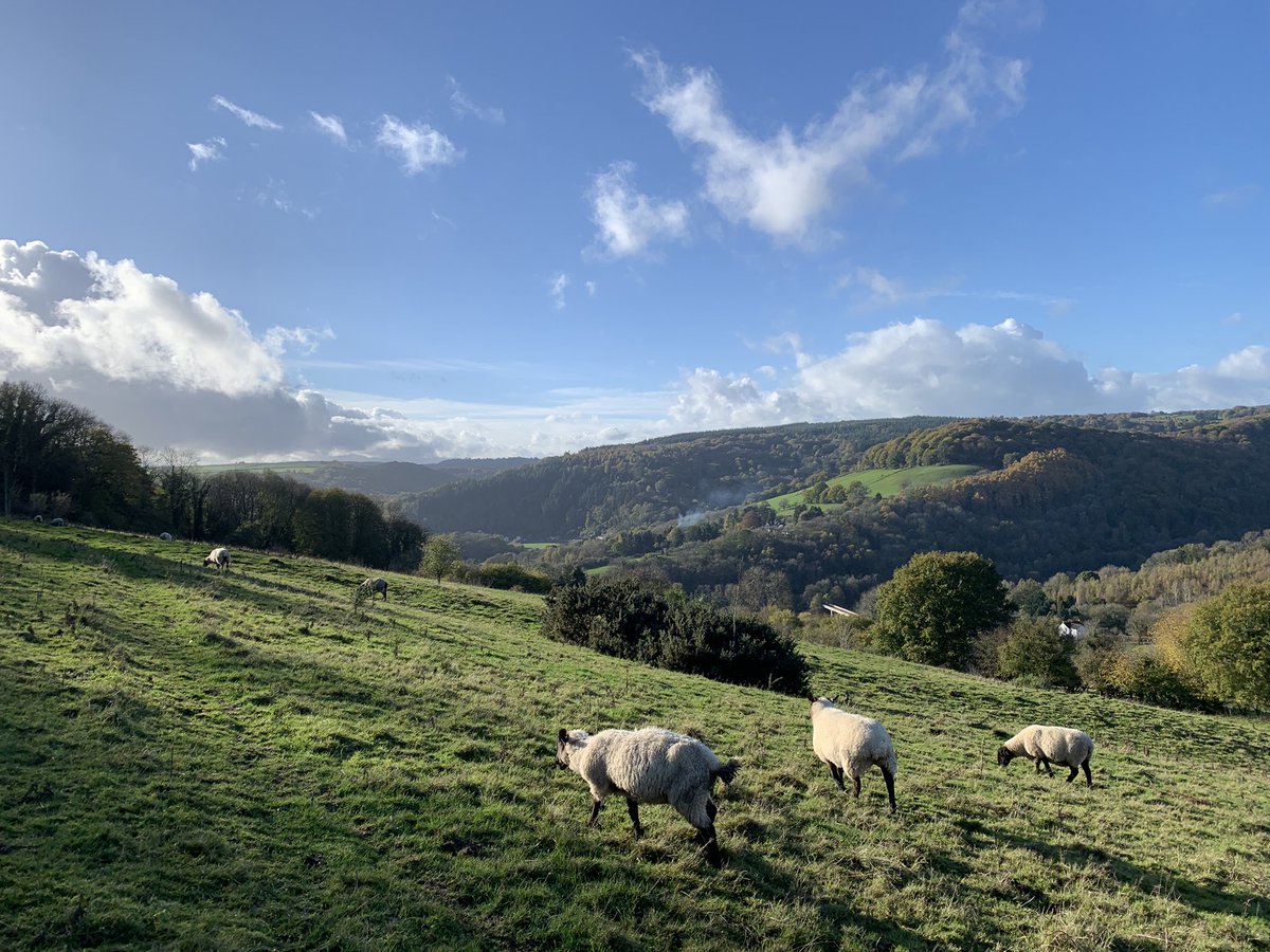 finstumpf's tweet photo. @stubo37 @RamblersGB @kasperweinberg2 @_visitbridgend @RamblersCymru @ItsYourWales @wyebeauty above Tintern @MonmouthshireCC @visit_mon @VisitGlos @OffasDykePath #DevilsPulpit https://t.co/q9PRodHAxj