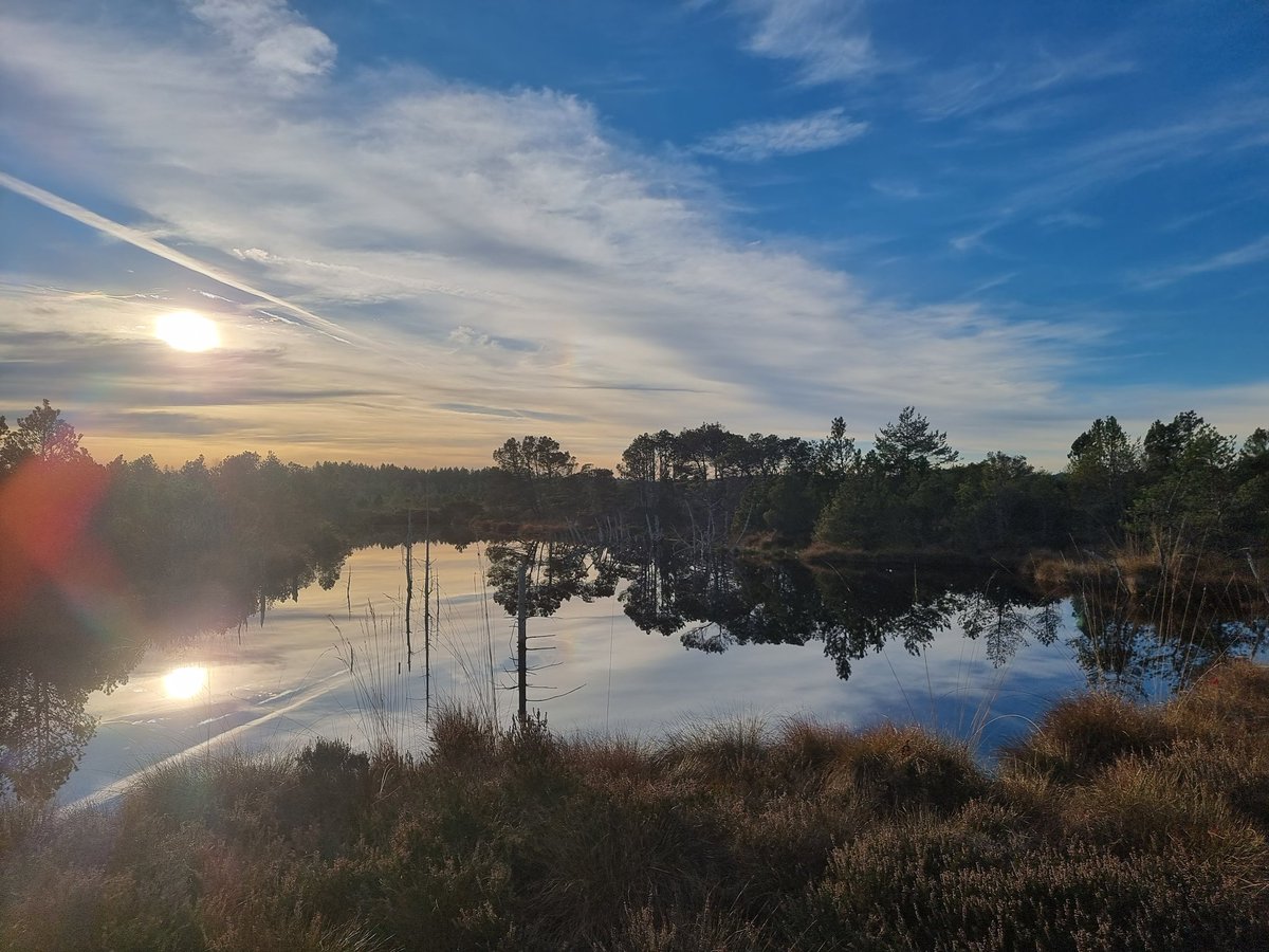 I took a break from office work to see how my fieldsite is doing. Upon arrival, I was welcomed by the sound of cranes moving south. 33! Totally made my day. Should really go out more!