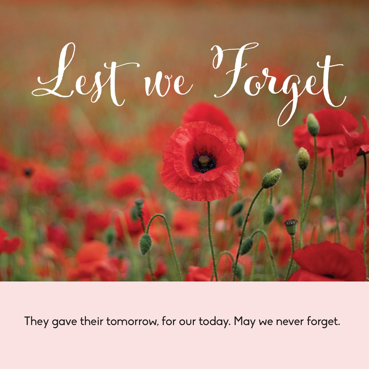 They gave their tomorrow, for our today. May we never forget.

At 11:00 AM, our locations will go silent as we observe a minute of silence to honour the sacrifices of so many.
We ask that you join us.