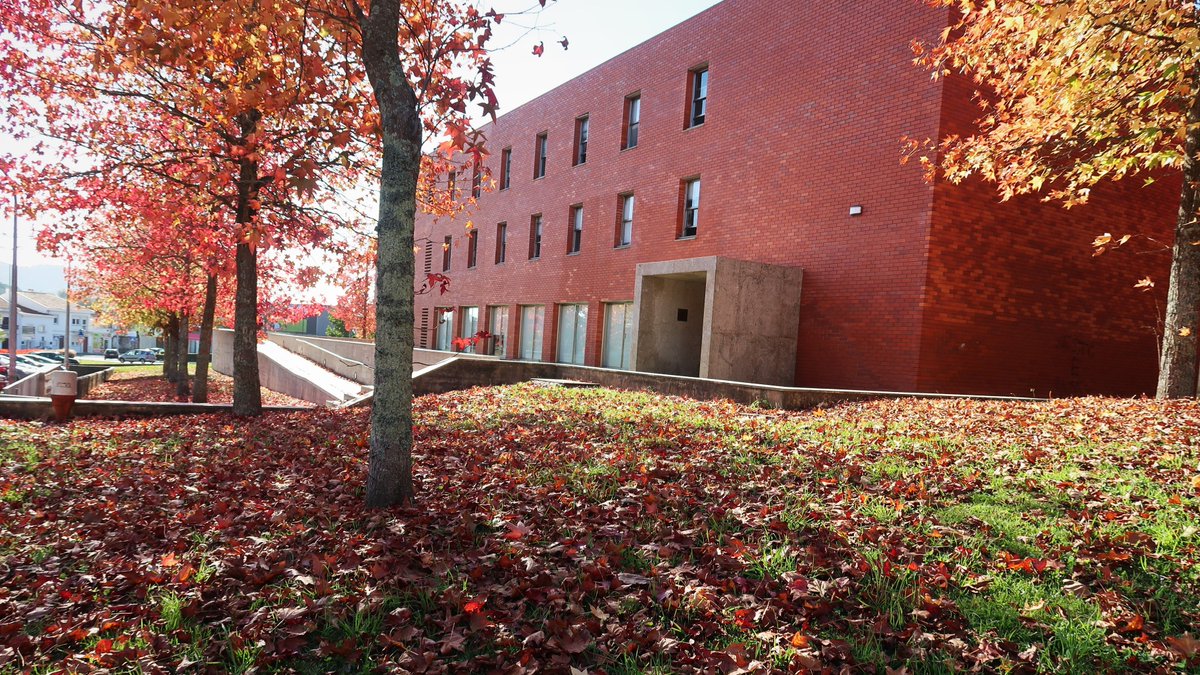 ipvc_twit's tweet photo. #Outono na #residencia da #ESEIPVC.🍁Tem 119 camas, 3 pisos, quartos duplos, triplos e para pessoas com mobilidade reduzida, lavandaria self-service, aquecimento central, internet e 2 copas, bar e cantina no #campus. Sabe + sobre residências IPVC!👇
https://t.co/qB9g3zFbhc https://t.co/reiR58kTKg