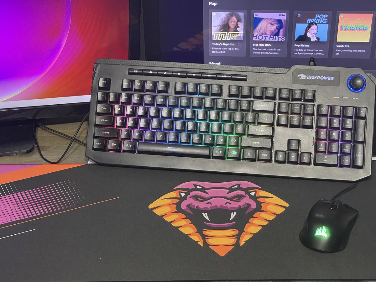 Noble Sinners Gaming tweet media