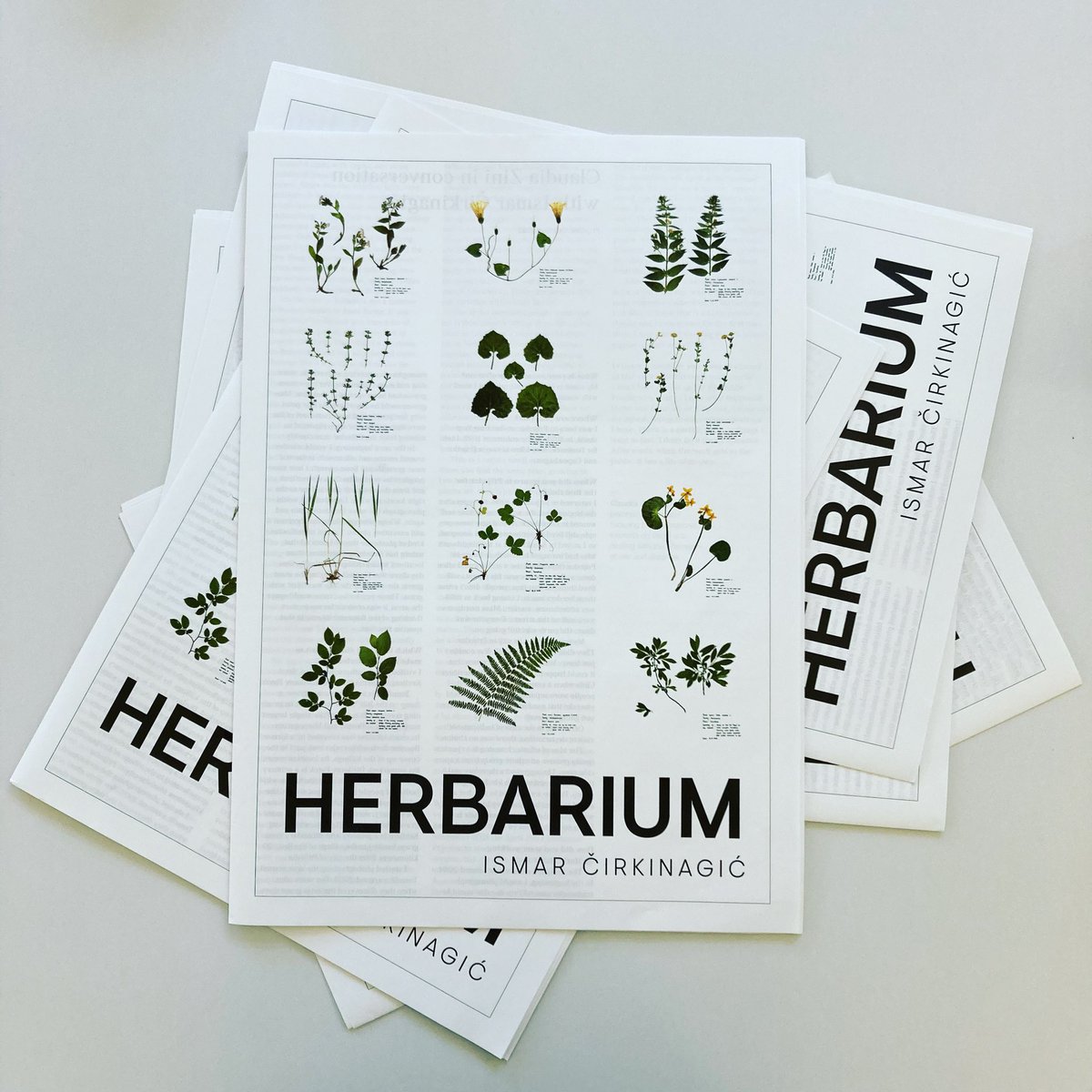 VIIAcademy's tweet photo. The exhibition catalogue HERBARIUM by Ismar Čirkinagić
Produced by @KumaInternation and VII Academy.
{Exhibition}: Sunday, November 13, 18:00, National Museum of Bosnia and Herzegovina, Sarajevo.
#Herbarium #viiacademy #viifoundation #exhibition #contemporaryart #sarajevo https://t.co/aWrHwQc3ZS