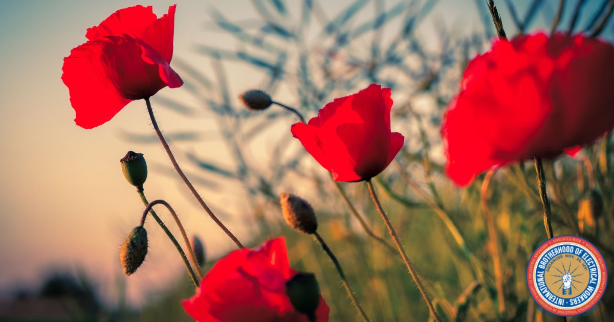 Remembrance Day was first observed throughout the British Commonwealth in 1919.  It was held to pay tribute to the end of the First World War through the signing of the Armistice Agreement on November 11, 1918, at 11 am. (1/3)