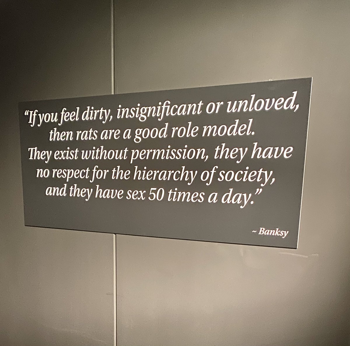 _NicolaSinclair's tweet photo. I mean, he’s not wrong! Banksy exhibit to round off a fantastic visit to Salford for #LDRSconf22 . Thanks to everyone for organising it. Nice to meet the other LDRs - some amazing talent in that room. https://t.co/r83PbTUaF8