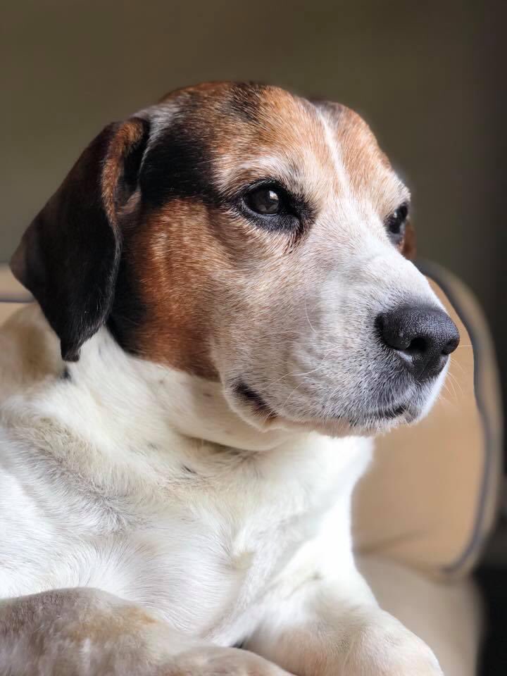 ๐๐๐๐๐๐ฌ tweet media