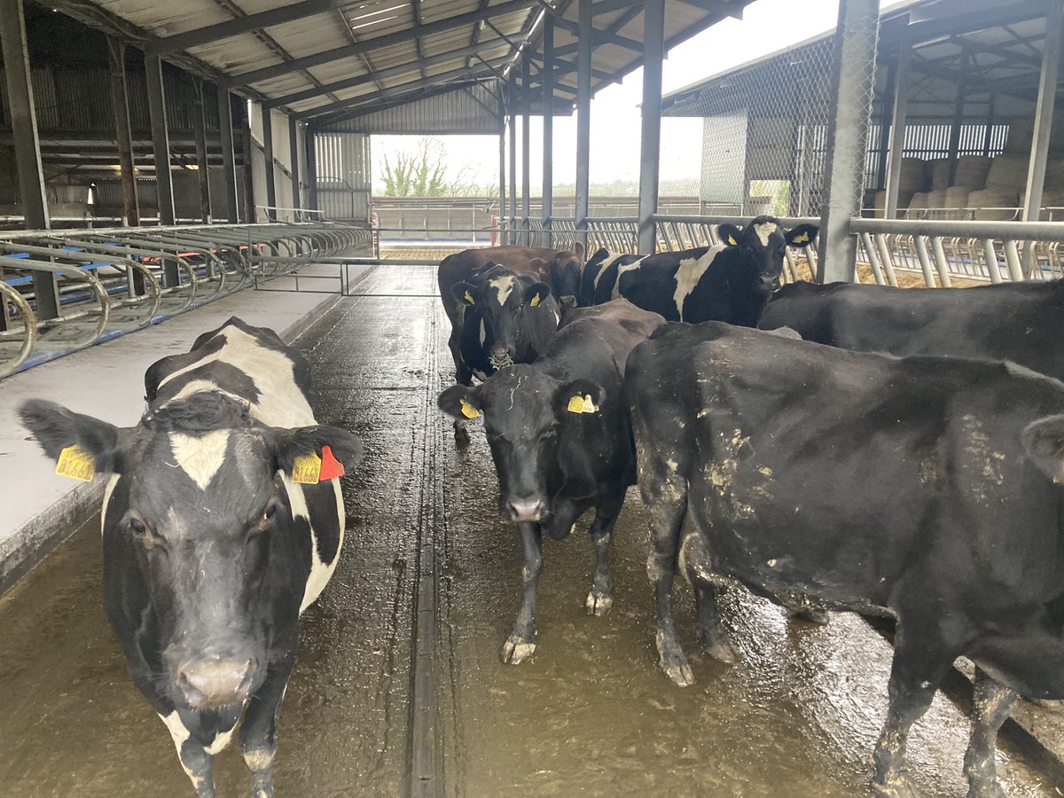 Catherine tweet media