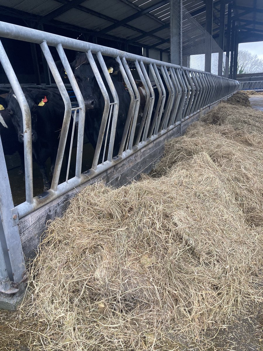 Catherine tweet media