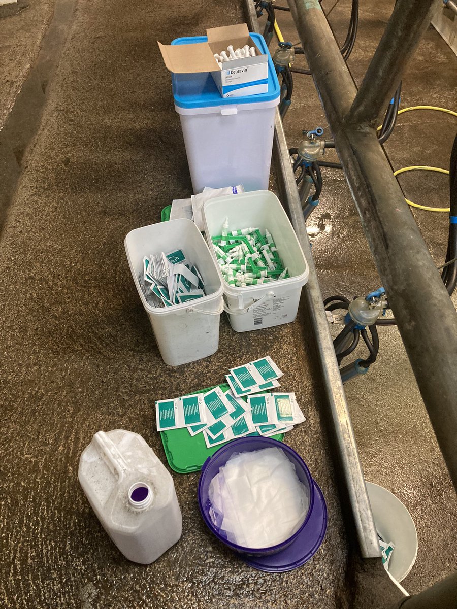 Catherine tweet media