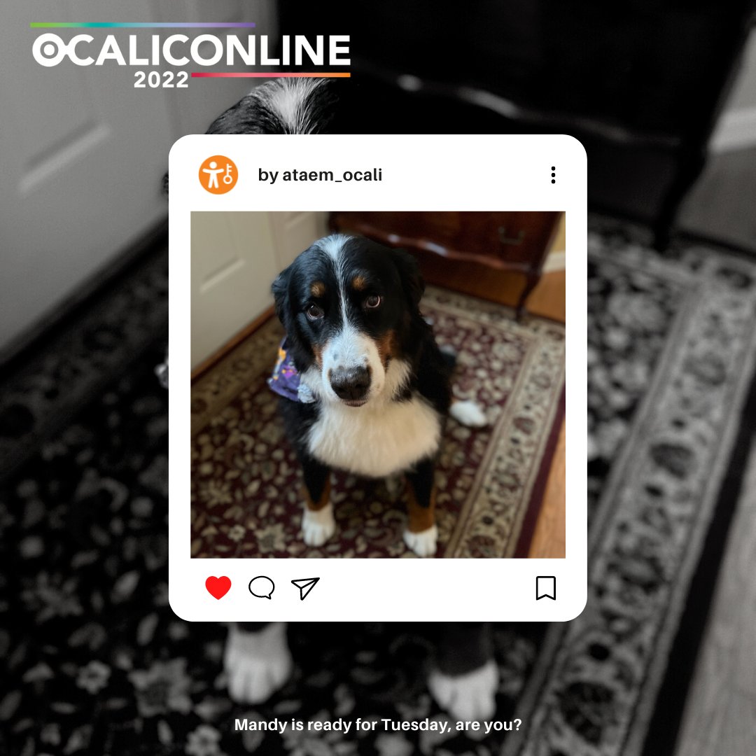 ataem_ocali's tweet photo. Mandy is ready for #OCALICON2022 on Tuesday...are you? Get to that #SessionSorter and start adding to your schedule now so come Tuesday, you're ready to jump in!
https://t.co/92QDtj0eCS #PetsOfOCALICON https://t.co/Va1pjiWsrR