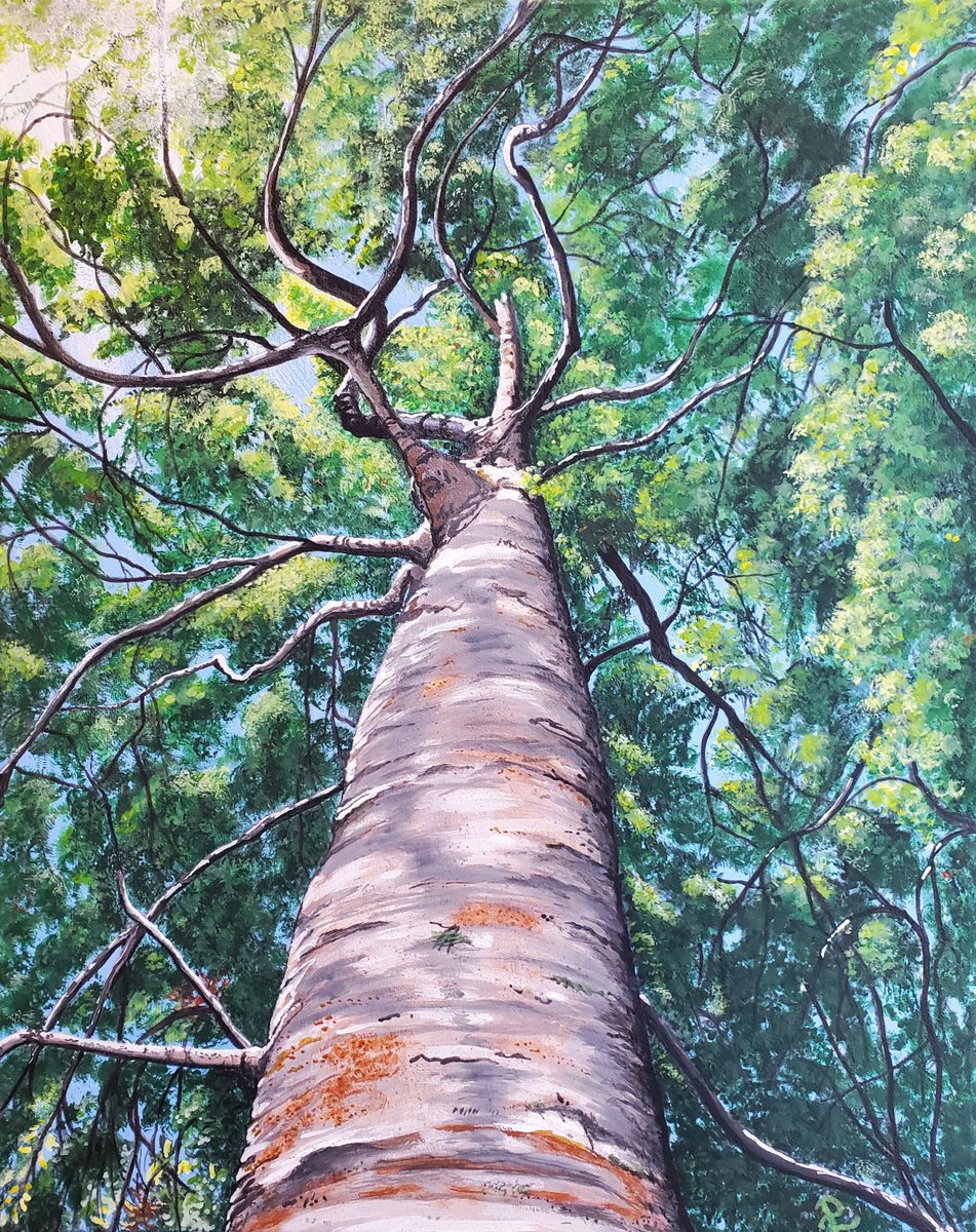 DonnaLiguria's tweet photo. Excited to share the latest addition to my #etsy shop: Tree Looking Up Print, Tree Trunk Leaves Artwork, Tree Art Print, Tree Wall Art Original, Looking Up Tree, Tree Branches Art Print, Tree https://t.co/ilbQhffiGH #TreePrint #TreeArtwork https://t.co/LN2SCZmNz2