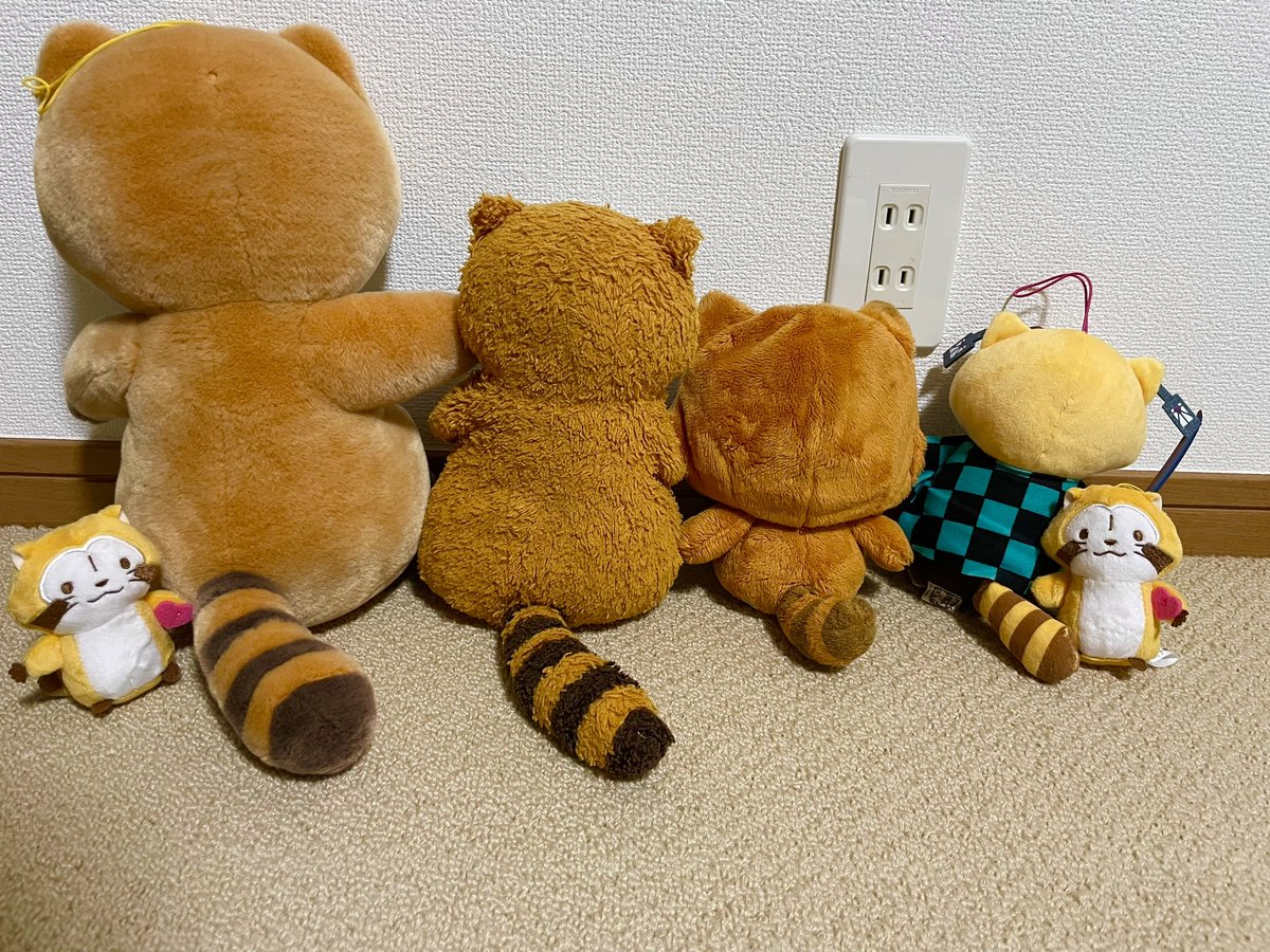 rrascal05's tweet image. 乗り遅れました〜💦
急いで整列！！

#ラスカルしっぽの日 
#ラスカル
#しっぽの日